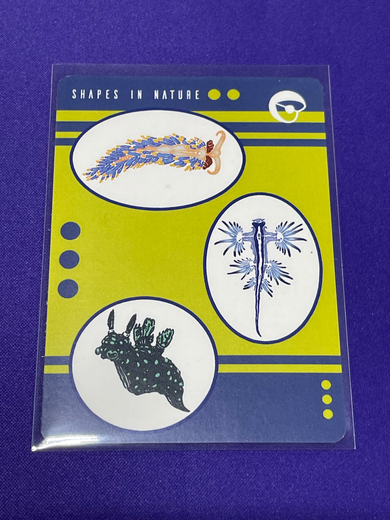 Shapes In Nature - Promos
