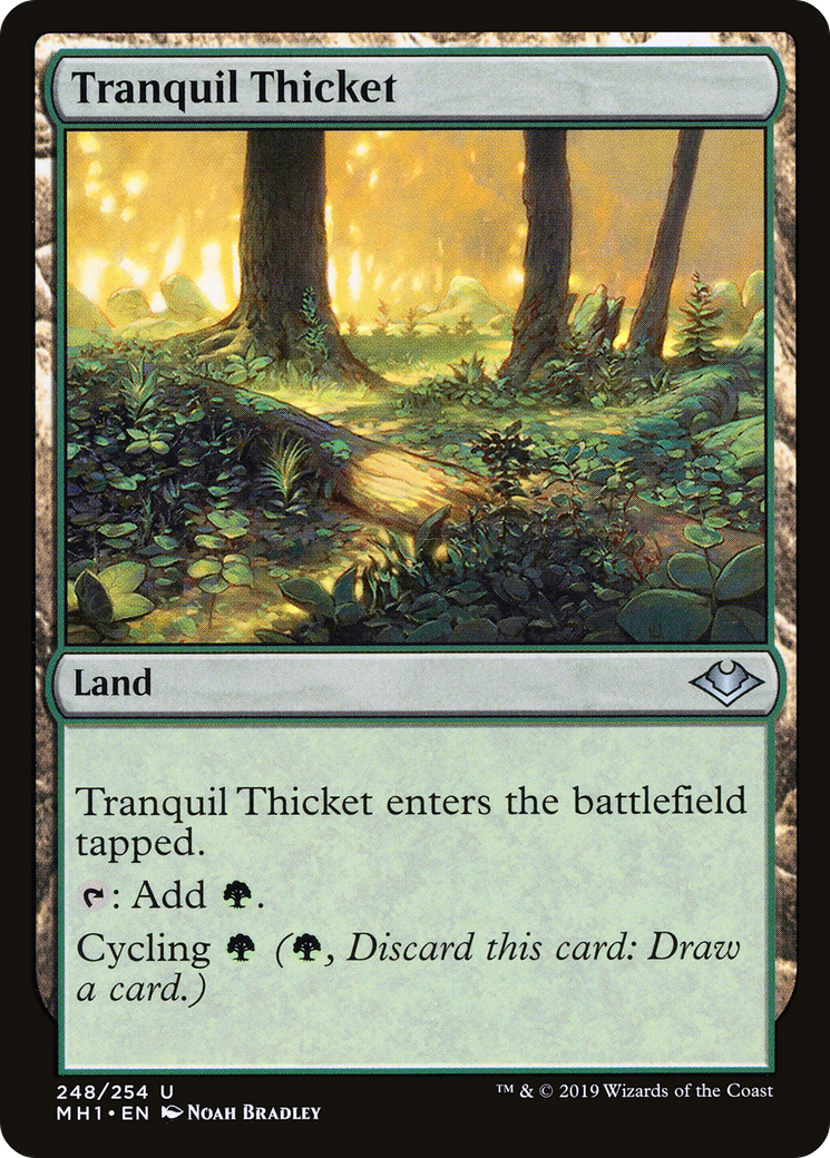 Tranquil Thicket (MH1-248) [Modern Horizons]