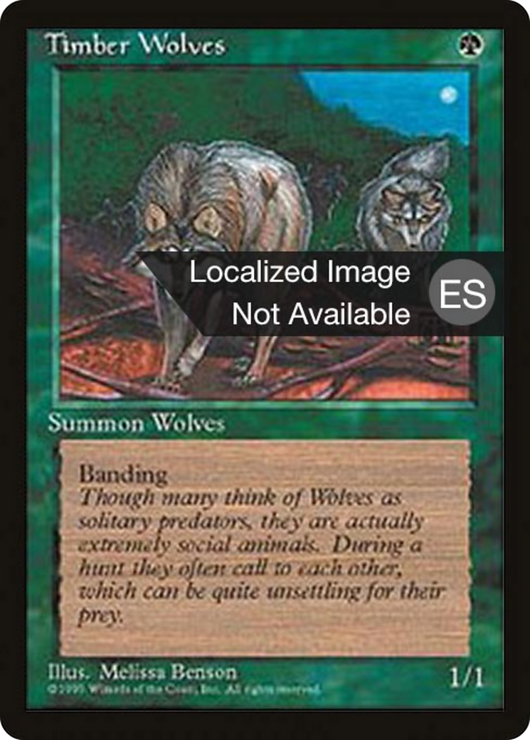 Timber Wolves (4BB-275) [Fourth Edition Foreign Black Border]
