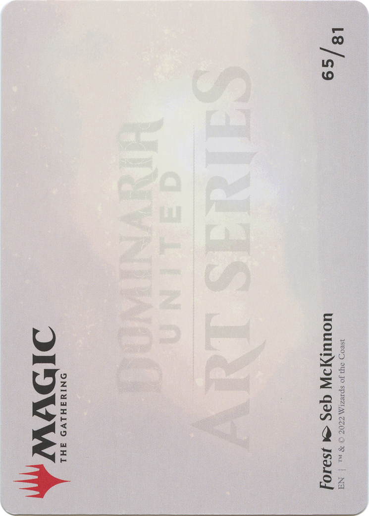Forest // Forest (ADMU-065) (Borderless) [Dominaria United Art Series] Foil