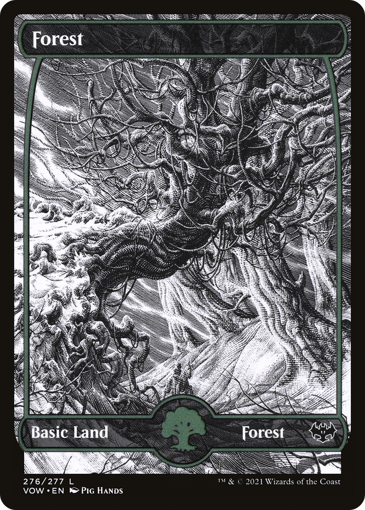 Forest (VOW-276) (Showcase) [Innistrad: Crimson Vow] Foil