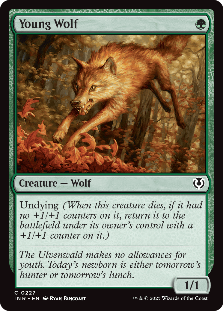 Young Wolf - Foil [Innistrad Remastered]